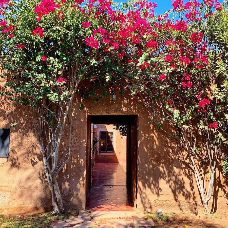 La Ferme Berbere Adult Only Bed & Breakfast El Harkat Eksteriør bilde
