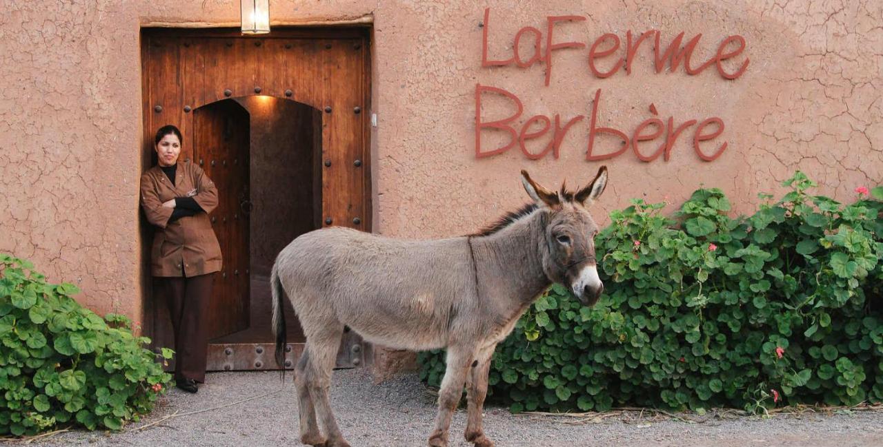 La Ferme Berbere Adult Only Bed & Breakfast El Harkat Eksteriør bilde