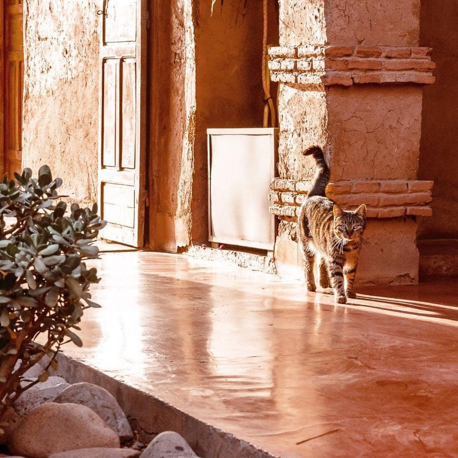 La Ferme Berbere Adult Only Bed & Breakfast El Harkat Eksteriør bilde