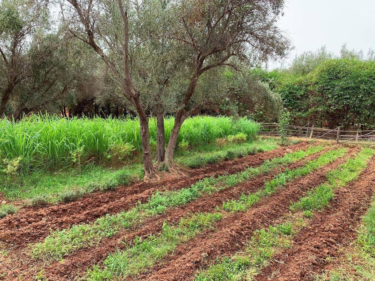 La Ferme Berbere Adult Only Bed & Breakfast El Harkat Eksteriør bilde