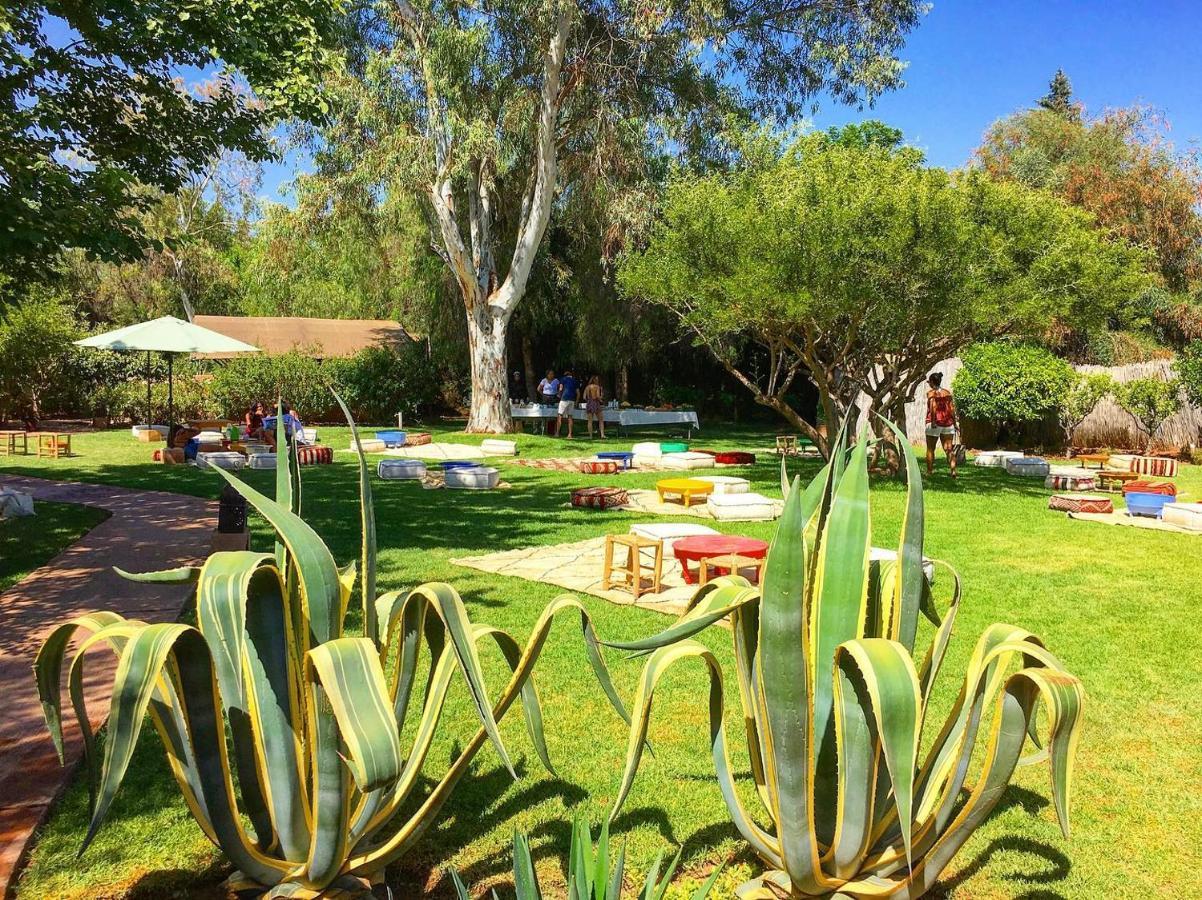 La Ferme Berbere Adult Only Bed & Breakfast El Harkat Eksteriør bilde