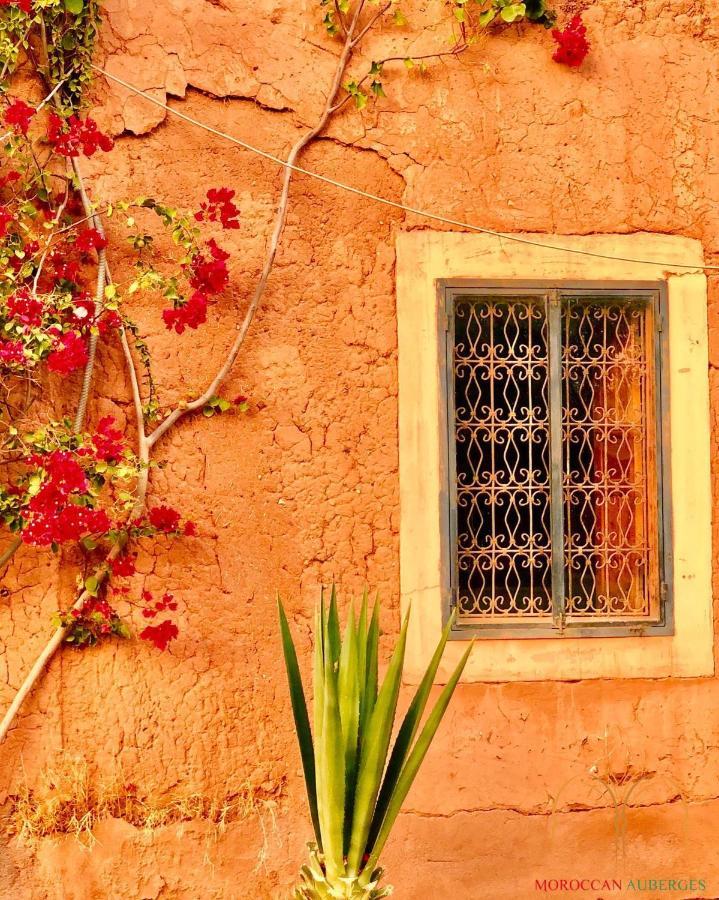 La Ferme Berbere Adult Only Bed & Breakfast El Harkat Eksteriør bilde