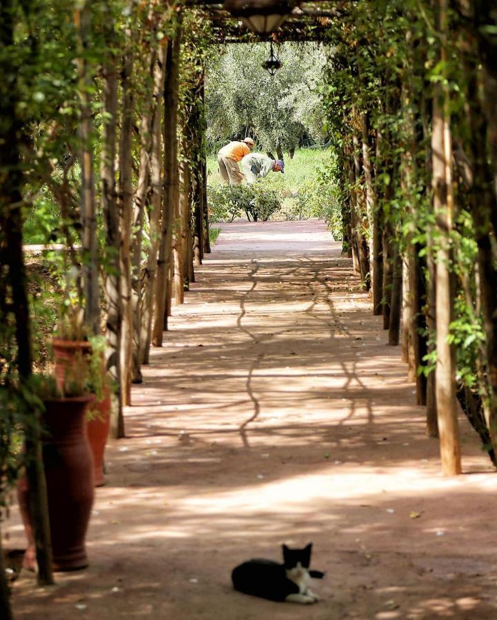 La Ferme Berbere Adult Only Bed & Breakfast El Harkat Eksteriør bilde