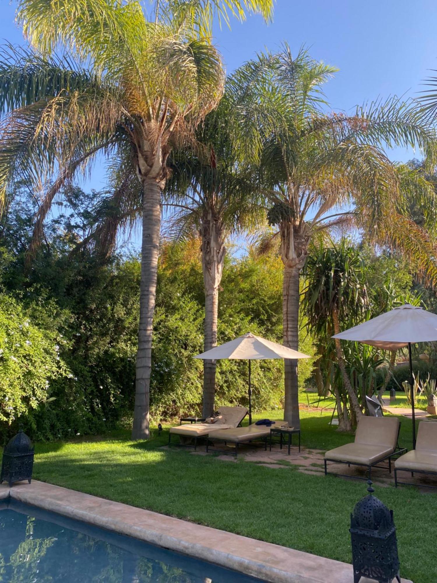La Ferme Berbere Adult Only Bed & Breakfast El Harkat Eksteriør bilde